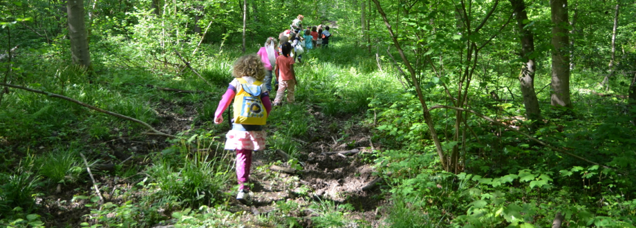 Ausflug in den Wald